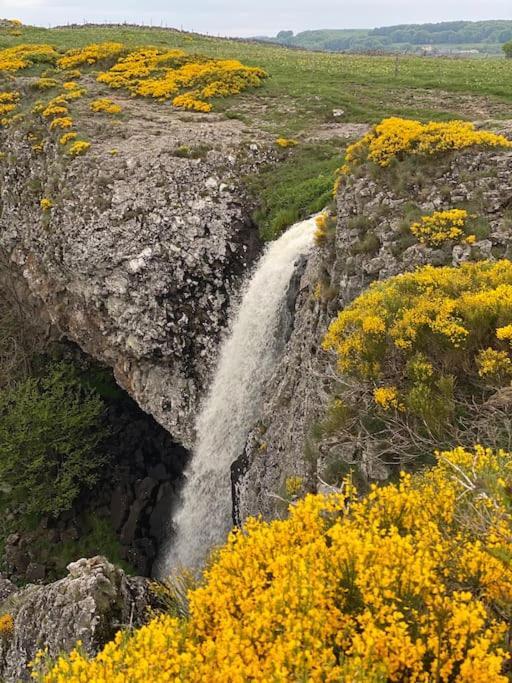 Buron Coeur D'Aubrac Villa Marchastel  Buitenkant foto