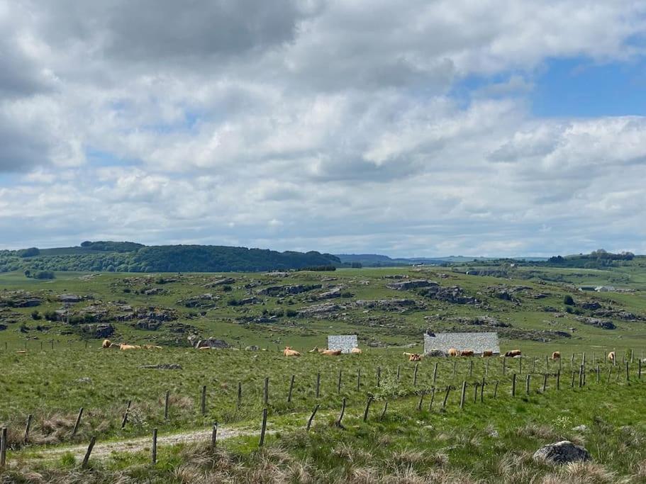 Buron Coeur D'Aubrac Villa Marchastel  Buitenkant foto